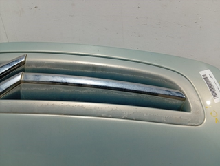 CAPO CITROEN XSARA PICASSO NFV