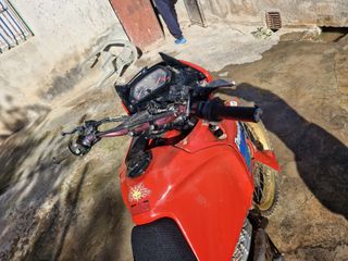 Honda Dominator Trail