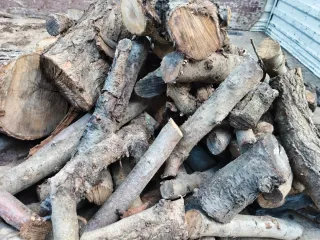 Leña de almendro seca lista para utilizar