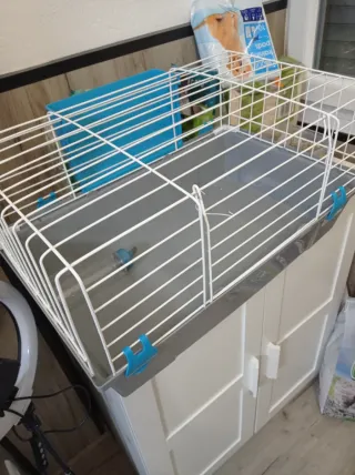 Jaula cobaya/conejo casi nueva