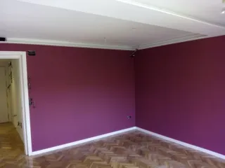 Pintor reparador grietas locales garajes