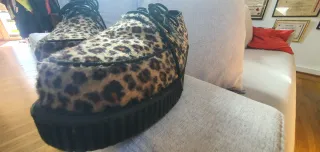 Creepers leopardo