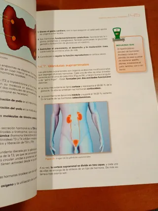 Fisiopatológia Aplicada a la Dietética FP