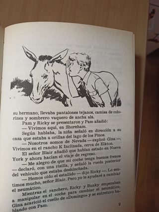 Los Hollister Van Al Oeste