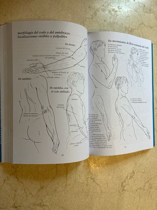 Anatomia Para El Movimiento I (Spanish Edition)