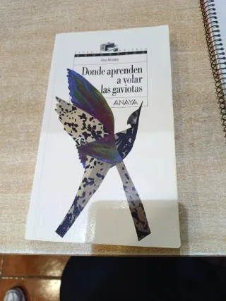 Donde aprenden a volar las gaviotas (Espacio Ab...