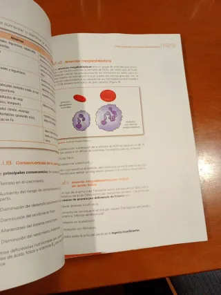 Dietoterapia (Spanish Edition)