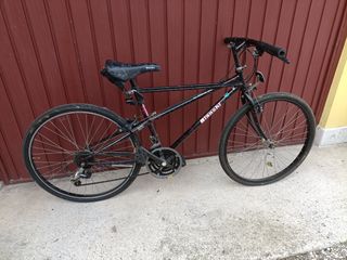 Bianchi ALL TERRAIN THOMISUS