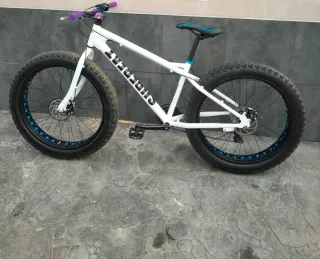 Fat Bike