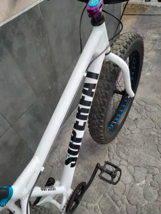 Fat Bike
