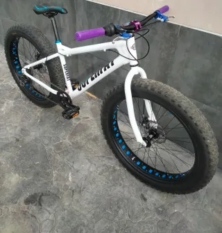 Fat Bike