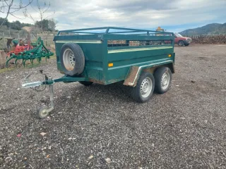 Remolque para perros verde