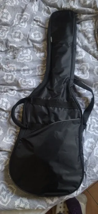 Guitarra Eléctrica Ashton y complementos