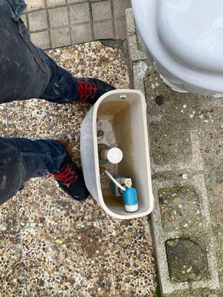 Taza de WC Roca Blanca