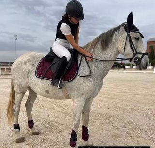 Conjunto hípica granate