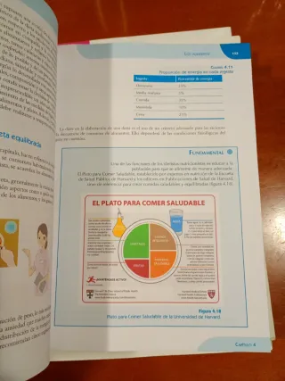 Alimentación equilibrada