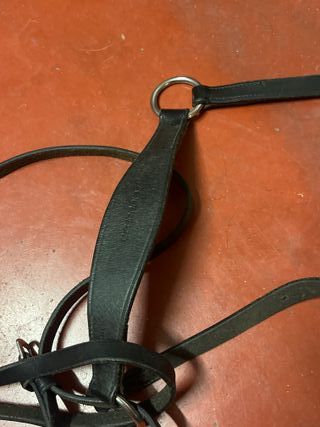 Pechopetral de cuero negro