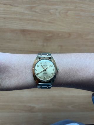 Reloj Festina Mujer Dorado y Plateado