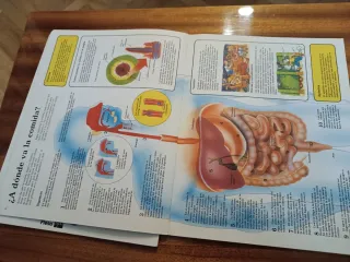 Libros de El Joven Científico