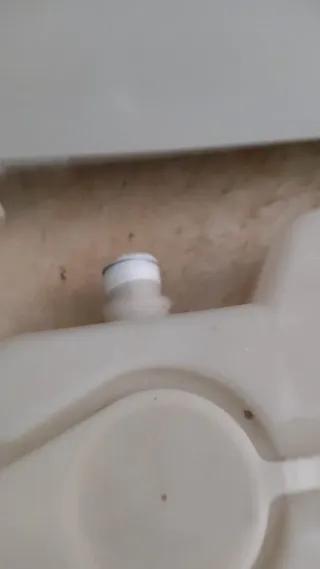 Secadora Bosch Maxx 7 Condensación