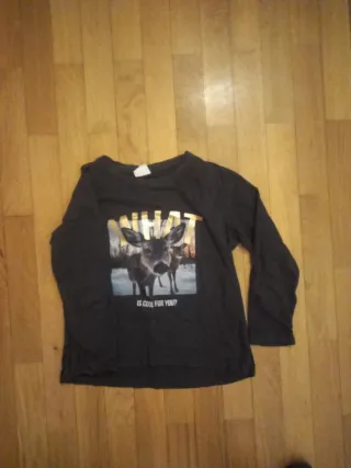 Lote 5 camisetas niña 7-9 años