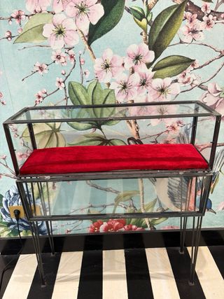 Vitrina de cristal y forja con interior rojo