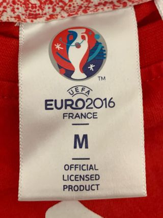 Camiseta Selección de Gales UEFA Euro 2016 Francia