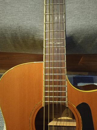 ALVAREZ AG75CE L.R.BAGGS. 50 Aniversario