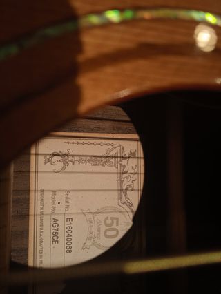 ALVAREZ AG75CE L.R.BAGGS. 50 Aniversario
