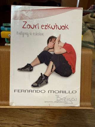 Zauri ezkutuak: bullying-a eskolan