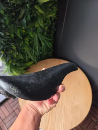 Sillin san marco concor supercorsa