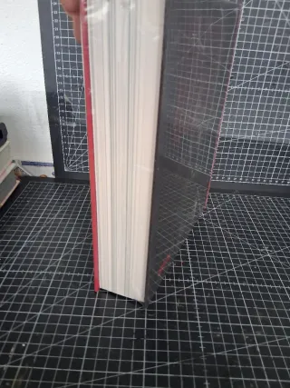 An Art of Limina: Gary Hill's Works and Writings