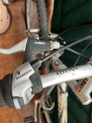 Bicicleta Togano Track