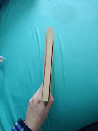 El cine o el hombre imaginario