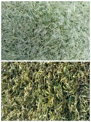 Césped artificial reciclado