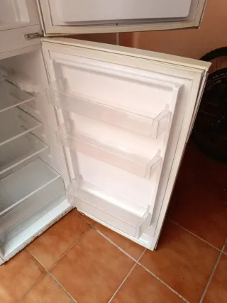 Nevera Benavent de 150