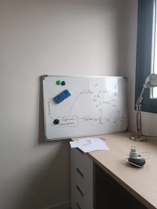 Pizarra blanca para pared