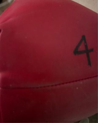 Pesas sacos de cuero