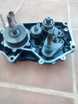 Recambio motor Rieju 4 velocidades