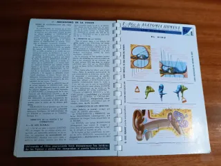 Atlas de anatomía humana