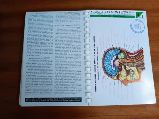 Atlas de anatomía humana