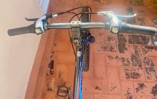 Bicicleta TREK MT 220 Montagna