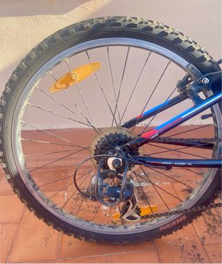 Bicicleta TREK MT 220 Montagna