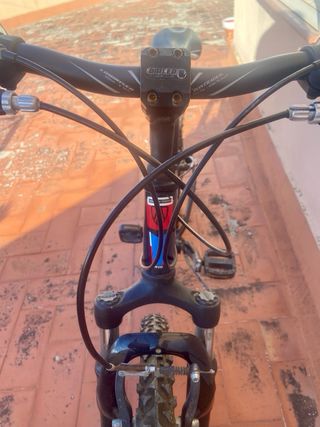 Bicicleta TREK MT 220 Montagna