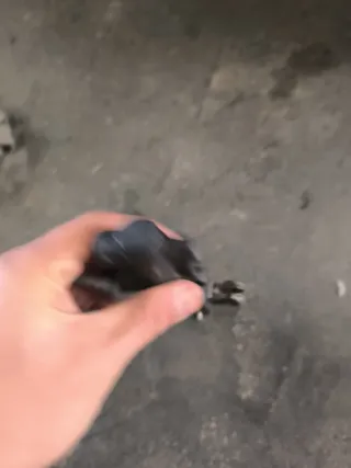 Pompa freno idraulica Piaggio Free