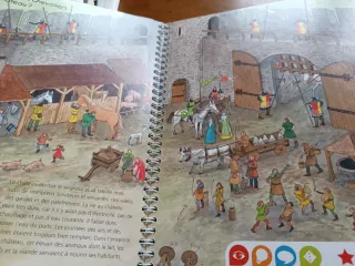 Dos libros en francés