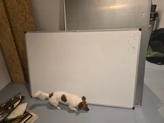 Pizarra blanca grande