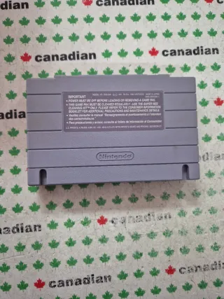 Dungeon Master Super Nintendo