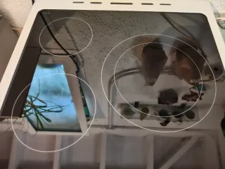 Cocina Vitrocerámica Blanca