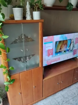 Mueble de salón en buen estado